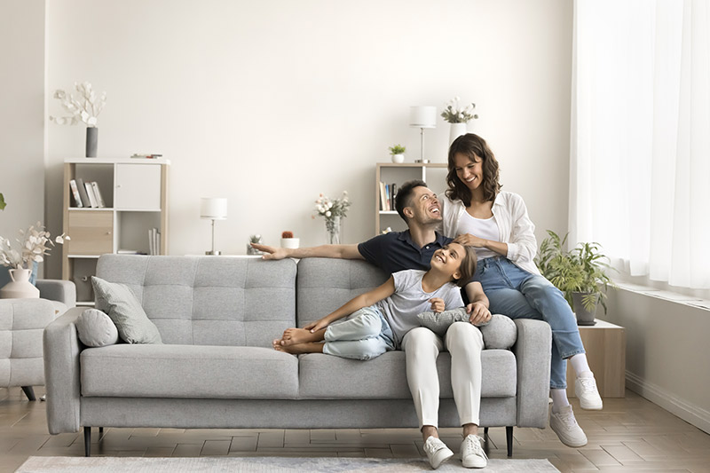 Proceso de limpieza de tapicería ecológica ALPA