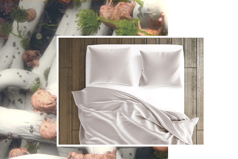 Tecnología de eliminación de ácaros en colchones ALPA